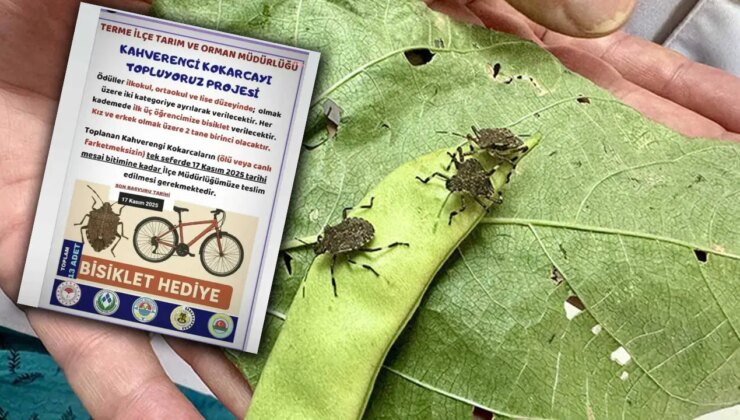 ‘Kokarca toplama’ projesine CHP’den tepki: ‘Bilimle mücadele edeceğimize, çocukları kullanıyoruz!’