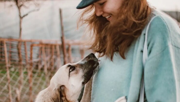 Köpeğiniz sizi görünce neden heyecanlanıyor?