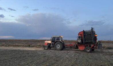 Kütahya’da hasat başladı: 1200 ailenin geçim kaynağı…