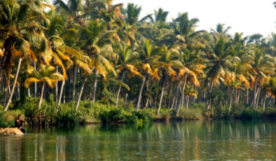 Lezzetin kökeni: Dünyanın baharat haritası