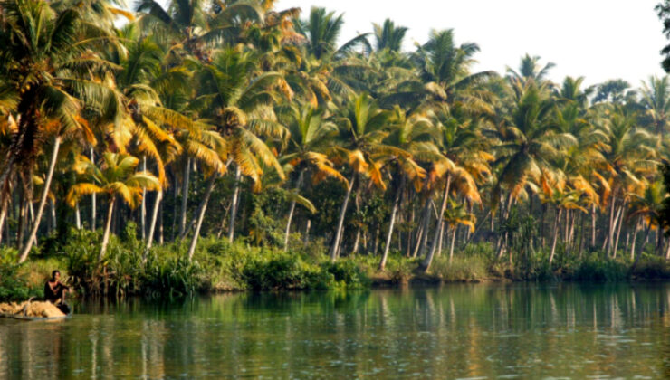 Lezzetin kökeni: Dünyanın baharat haritası