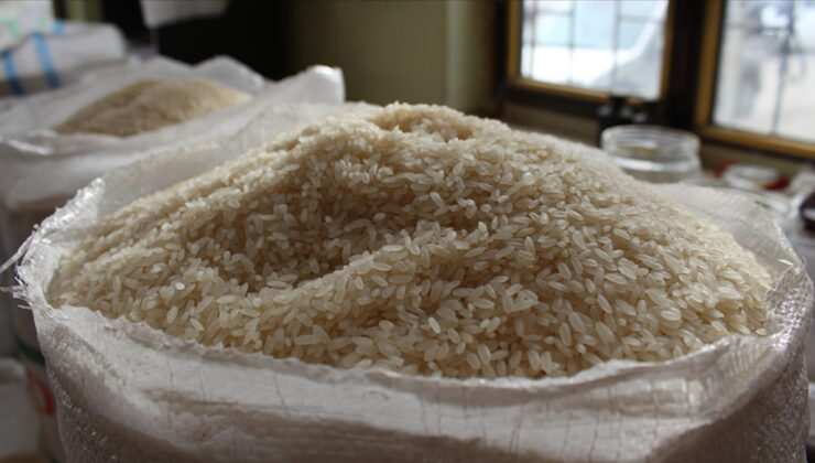 Lezzetleri parmak ısırtır: Türkiye’nin en kaliteli pirinçleri ve yetiştikleri iller