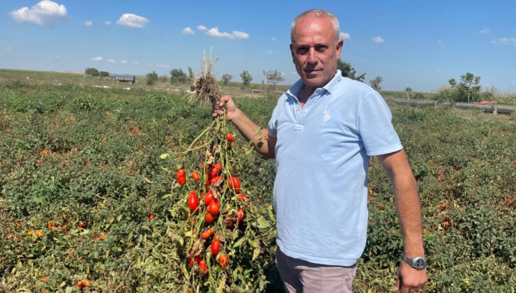 Londra’dan geldi memleketi Bursa’da yatırım yaptı