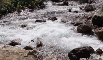 Mahkeme bakanlığın Munzur Gözeleri kararını iptal etti