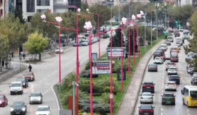 ‘Meme kanseri’nin erken teşhisi için sokak lambaları pembe yanıyor