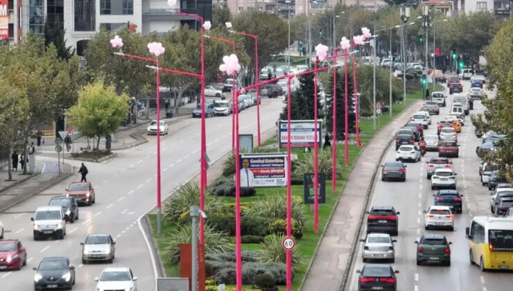 ‘Meme kanseri’nin erken teşhisi için sokak lambaları pembe yanıyor