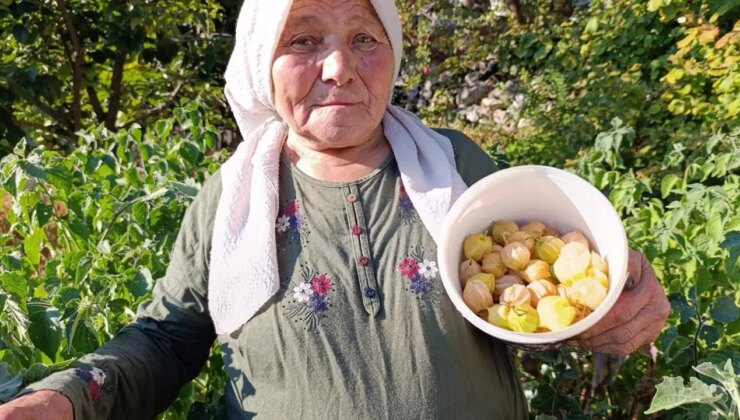 Metabolizmayı hızlandırıyor, bağışıklığı güçlendiriyor! 100 gramı 50 lira….