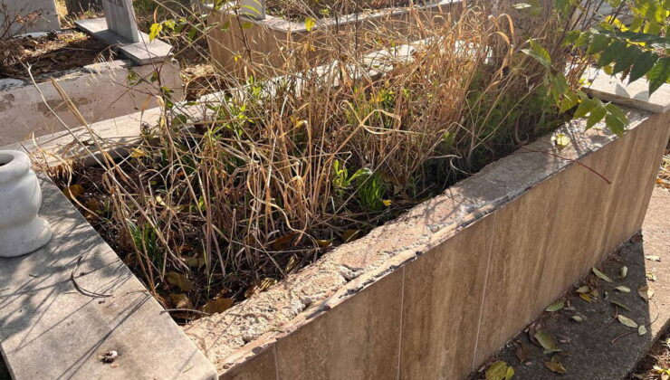 Mezar mermerlerini çaldı: Evinin bahçesine döşedi!