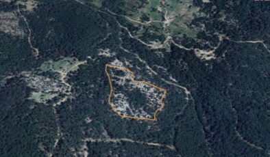 Muğla’daki ormanlık alana maden ocağı projesine ‘ÇED olumlu’ kararı