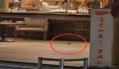 Pastaneye pimi çekilmemiş el bombası atılmasıyla ilgili 4 zanlı tutuklandı