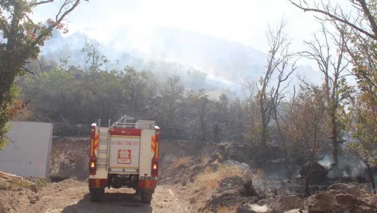 ‘Patlıcan’ keyfi için orman yangınına sebep oldular