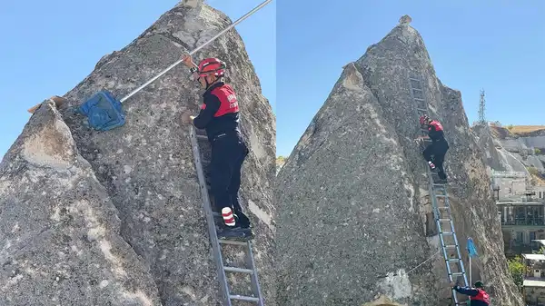 Peribacasında mahsur kalan kediyi itfaiye kurtardı
