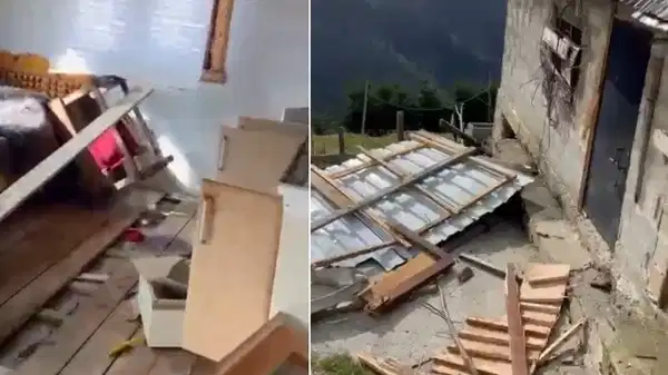 Rize’de ayı paniği: 20 ev talan edildi