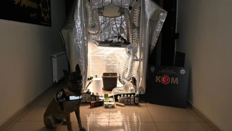 Rüşvet karşılığı uyuşturucu ve alkol testlerini manipüle etmişler: 20 kişiye gözaltı!