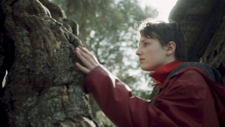 Rüzgar Eken filminin konusu ne? Rüzgar Eken filminin oyuncuları kim?