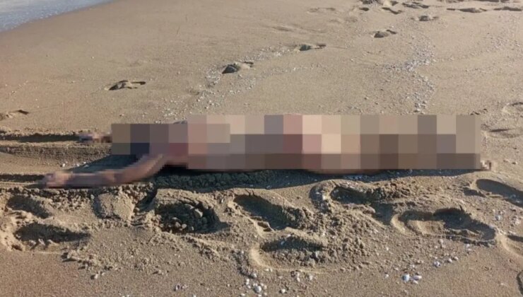 Sahilde çıplak erkek cesedi bulundu!