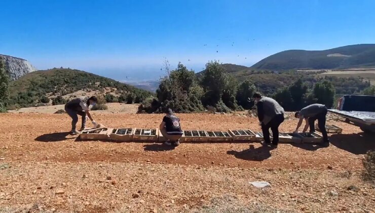 Saka kuşu kaçakçılığına milyonluk ceza!