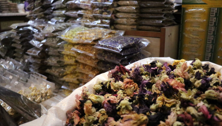 Sakarya’da havalar soğudu, aktarlar doldu