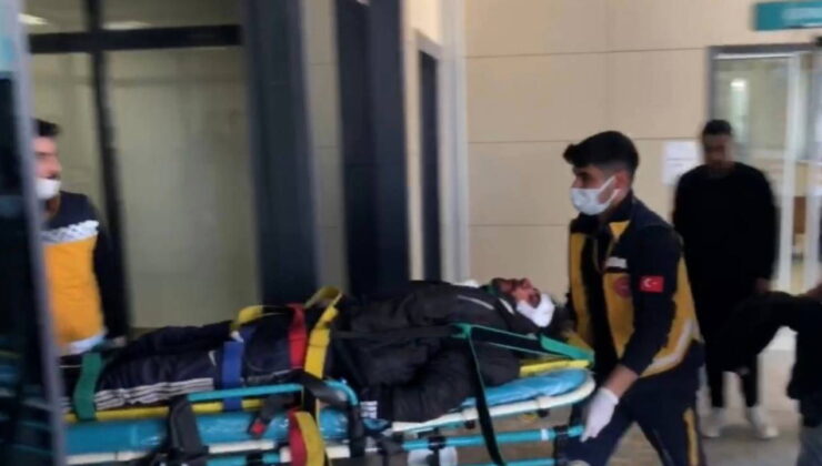 Şanlıurfa’da korkunç olay… Yol kenarında silahla vurulmuş halde bulundular!