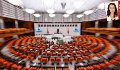 Saray her yere uzanıyor: Vakıflar ve milli parklar da tek elde