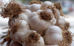 Sarımsağın bu kısmını atmayın: Sağlığa faydaları bulunuyor