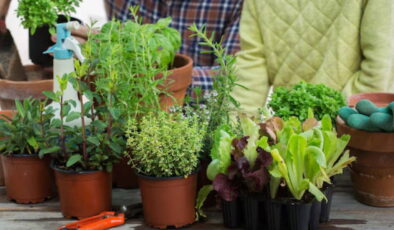 Soğuk havalarda taze ürünlere ulaşmanın en keyifli yolu: Sonbaharda saksıda yetiştirebileceğiniz 6 sebze