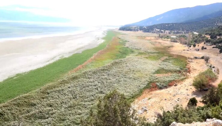 Suyu çekilince ikiye bölünen Eğirdir Gölü, hayvanların otlağı oldu