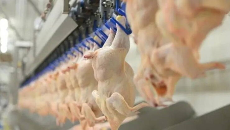 Tarihi geçmiş 183 kilo tavuk eti imha edildi!