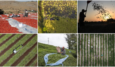 Tarım sayımına katılan çiftçi sayısı 2,7 milyonu geçti