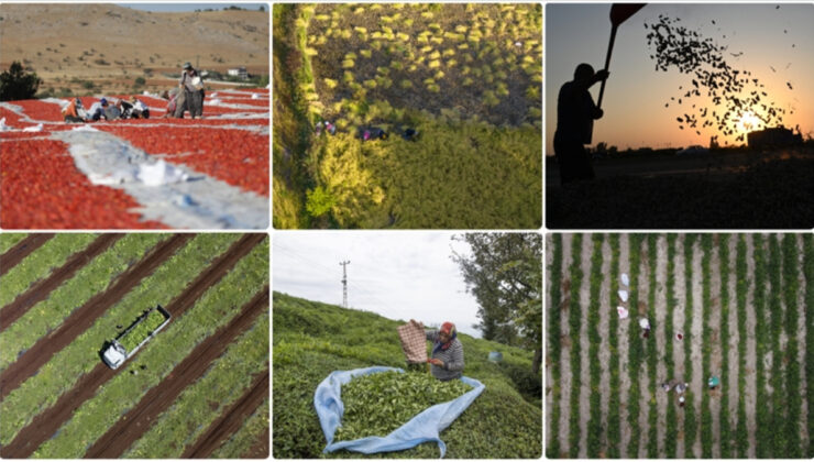 Tarım sayımına katılan çiftçi sayısı 2,7 milyonu geçti