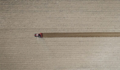 Tarım üreticilerinin Eylül 2025 enflasyonu açıklandı