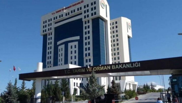 Tarım ve Orman Bakanlığı 200 sözleşmeli personel alacak