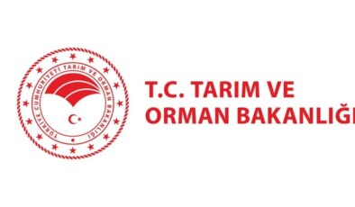Tarım ve Orman Bakanlığı personel alımı ne zaman yapılacak? Tarım ve Orman Bakanlığı personel alımı başvuru şartları neler?