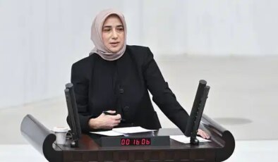 TBMM’de ‘özel uçak’ gerilimi: AKP’li Özlem Zengin sözlerini ‘düzeltti’