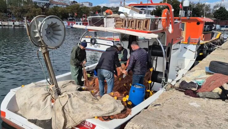 Tekirdağ’da ağlara takıldı! Tanesi 400 lira…