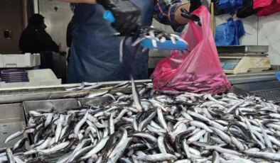 Tezgâhın şampiyonluğunu bırakmıyor: Kilosu 100 TL’ye düştü…