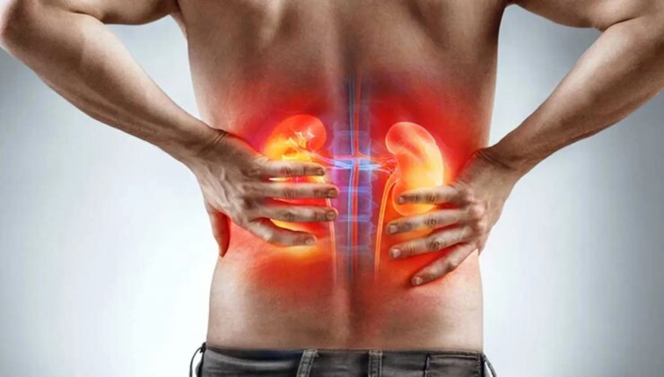 Toksinlere karşı doğal kalkan: Sağlıklı ve güçlü böbrekler için en etkili 7 besin