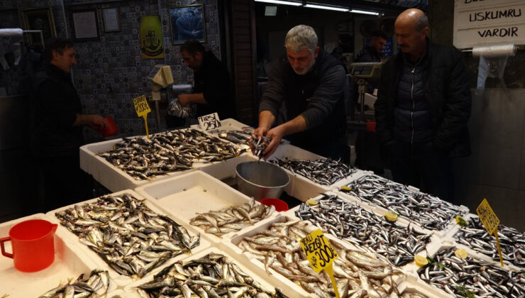 Trabzon’da balık tezgahlarında çeşit bolluğu