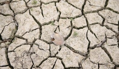 Trakya’da kuraklık alarmı: ‘Açabileceğimiz tüm su kuyularını açtık…’