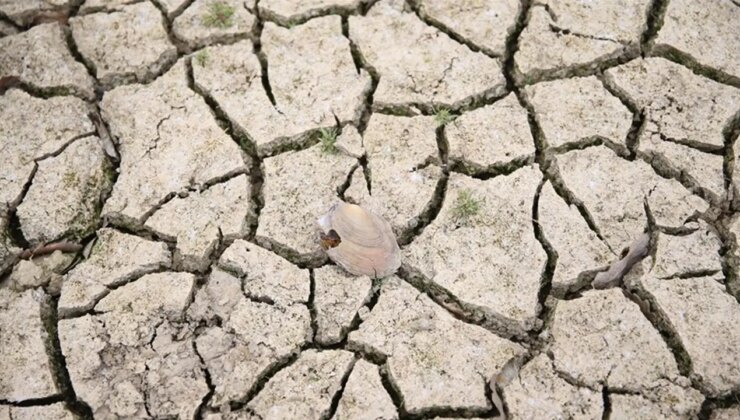 Trakya’da kuraklık alarmı: ‘Açabileceğimiz tüm su kuyularını açtık…’
