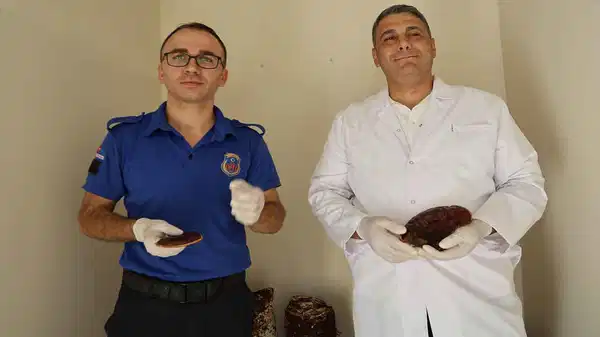 Türkiye yüzde 70 oranında ithal ediyordu, hükümlüler cezaevinde yetiştirdi: Kilosu 15 bin TL!