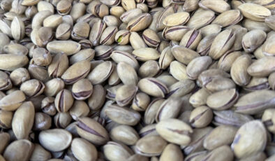 Türkiye’nin 9 aylık fıstık ihracatında artış