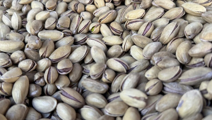 Türkiye’nin 9 aylık fıstık ihracatında artış