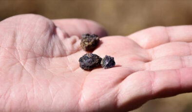 Türkiye’nin gizli gücü: Nadir toprak elementleri