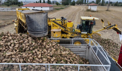 TürkŞeker’in şeker pancarı alım fiyatı güncellendi