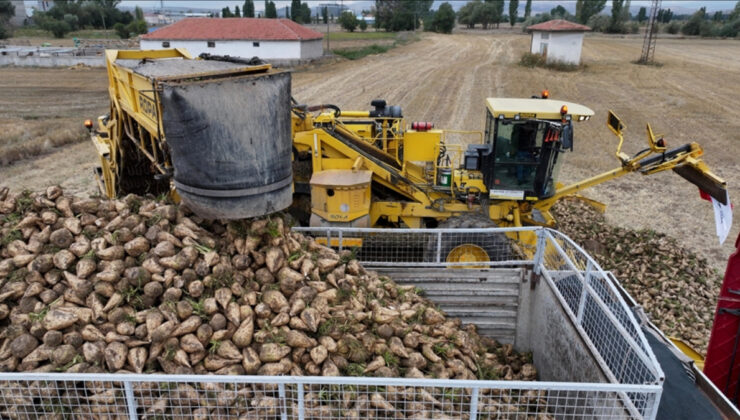 TürkŞeker’in şeker pancarı alım fiyatı güncellendi