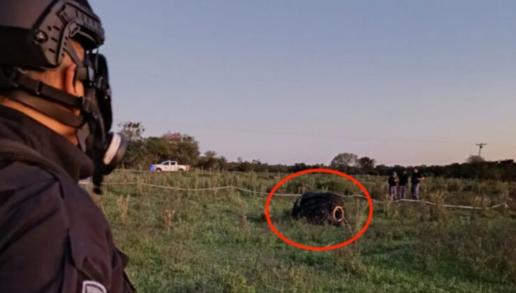 Tüyleri de var! Arjantin’de tarlaya düşen gizemli cisim…