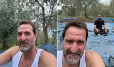 Ünlü oyuncu Timur Acar İznik’te arsa aldı, ilk zeytin hasadını yaptı