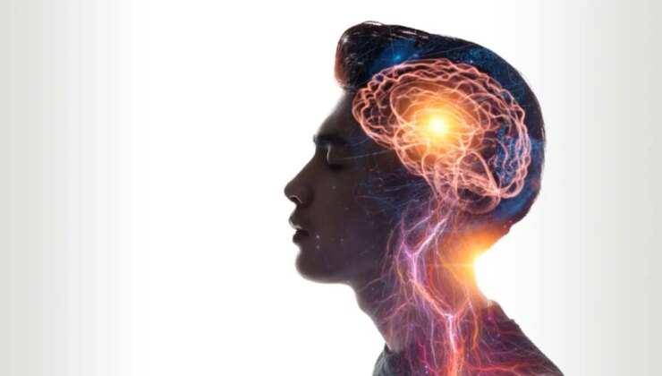 Uzmanı açıkladı: Beyin sisi nedir?