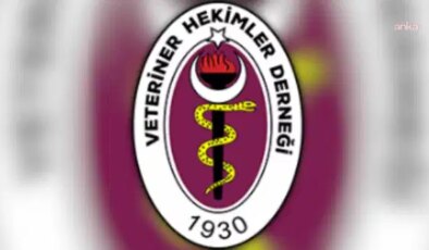 Veteriner hekimlerden yüksek ruhsat harçlarına tepki: ‘Toplum sağlığını zayıflatacak!’